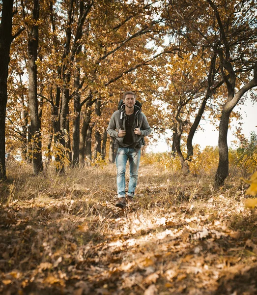 Backpacker wandelingen langs in het najaar bos — Stockfoto