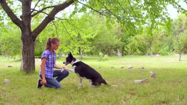 Σκύλος ακολουθεί εντολές ιδιοκτήτη δίνοντας το πόδι — Αρχείο Βίντεο