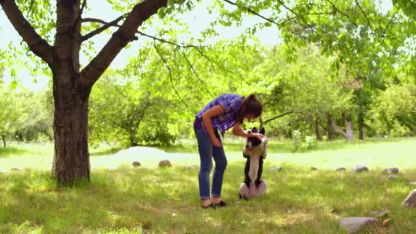 Chica entrenando a su perro al aire libre — Vídeo de stock