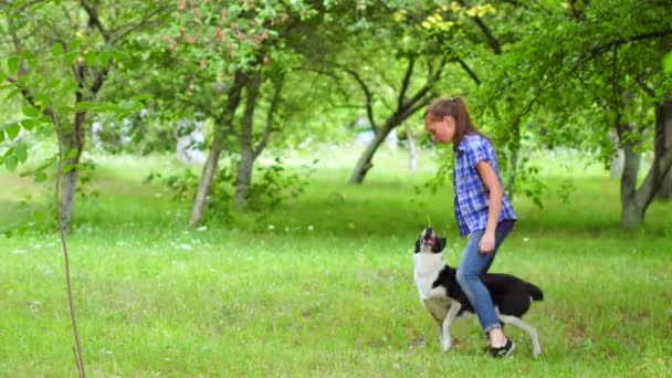 Een persoon die een frisbee naar het park gooit — Stockvideo