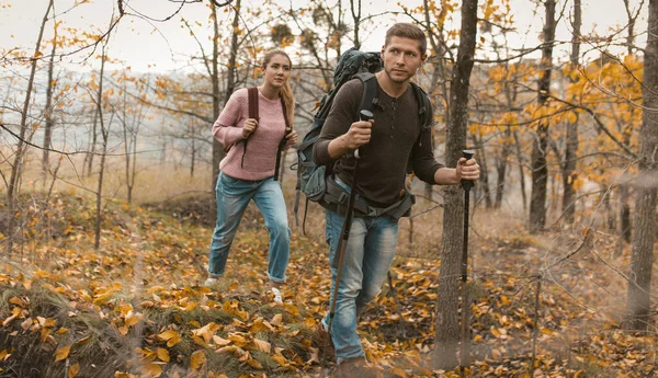 Erkek ve kadın sonbahar doğasında yürüyüş yapıyorlar. — Stok fotoğraf