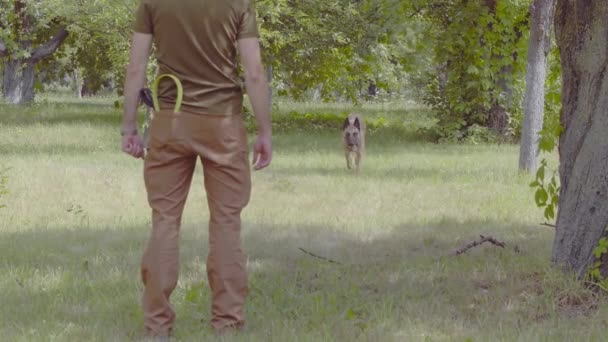 Une personne qui se tient dans l'herbe — Video