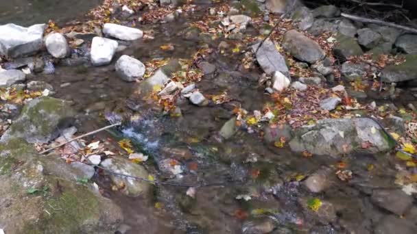 Ruisseau de la nature se précipitant des montagnes . — Video