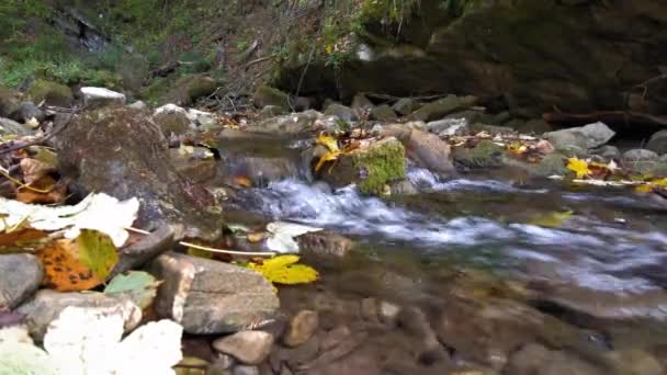 Pequeno rio de montanha que está ganhando força descendo de uma montanha — Vídeo de Stock