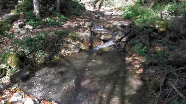 De natuurlijke kleine poel van zuiver radium water wordt zelf gemaakt aan de kant van de Karpaten bergen. Toerisme in de bergen van de Karpaten, Oekraïne. Prores 422 — Stockvideo