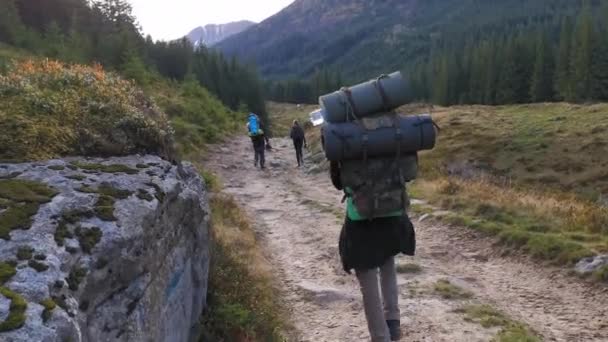 Los turistas escalan las montañas. Dos hombres y una excursionista van a la cima de la montaña. Turismo en las montañas de los Cárpatos, Ucrania. Prores 422 — Vídeo de stock