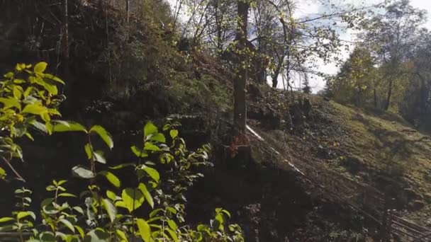 Pohled po zmizení skal s vyraženými stromy. Cestovní ruch v horách Karpat, Ukrajina. Prores 422 — Stock video
