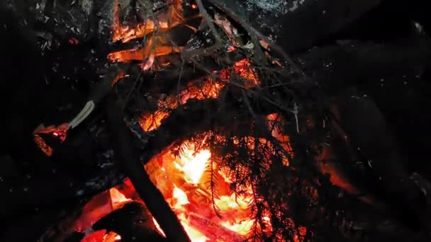 Close-up sobre a fogueira que os turistas fizeram em uma parada nas montanhas aquecer-se com calor de agulhas ardentes. Montanhas Cárpatas, Ucrânia. Prores 422 — Vídeo de Stock