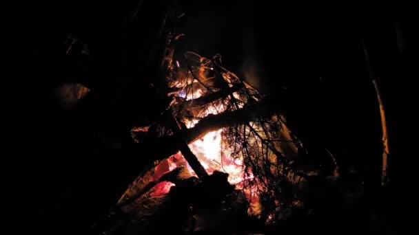 Toeristen maken een kampvuur op een halt in de bergen warmen zich op met warmte van brandende naalden. Karpaten, Oekraïne. Prores 422 — Stockvideo