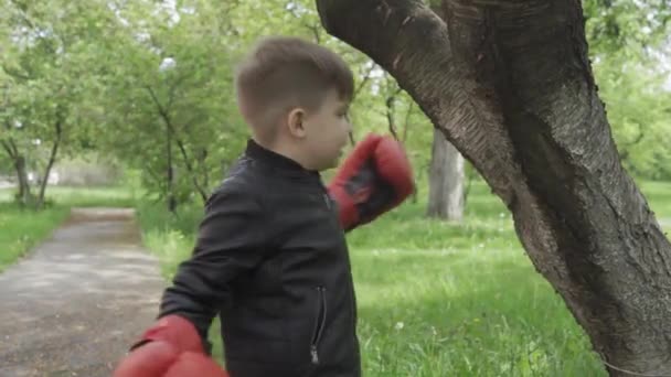 Um garotinho está lutando com uma árvore, batendo com os punhos em luvas grandes e de pé fora em um parque ou jardim. Prores 422 — Vídeo de Stock