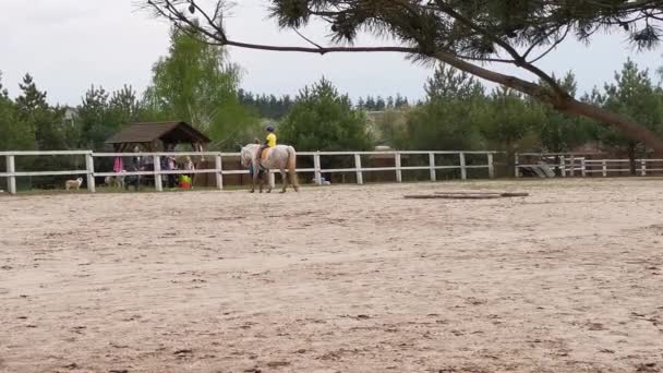 Un entrenador de equitación monta un caballo en el corral de un niño pequeño lo lleva al cenador donde la familia está sentada. Los niños aprenden montar a caballo. Concepto de rancho. Mayo 2020. Kiev, Ucrania. Prores 422 — Vídeo de stock