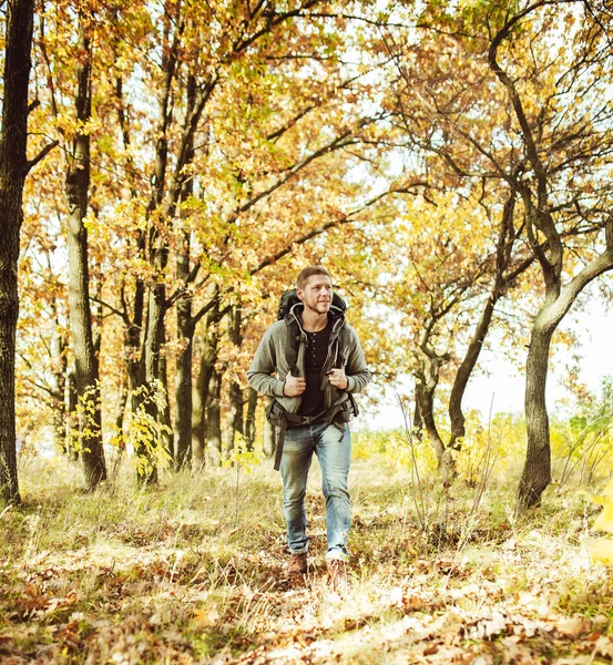 Reiziger backpacker wandelen in de herfst bos, jonge Kaukasische man in grijze jas gaat langs het pad bewonderen schoonheid van de natuur op zonnige dag. Wandelconcept — Stockfoto