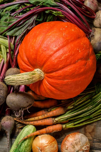 Fondo de verduras de otoño — Foto de Stock