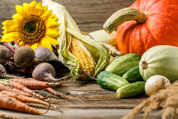 Cosecha de otoño en rústico — Foto de Stock