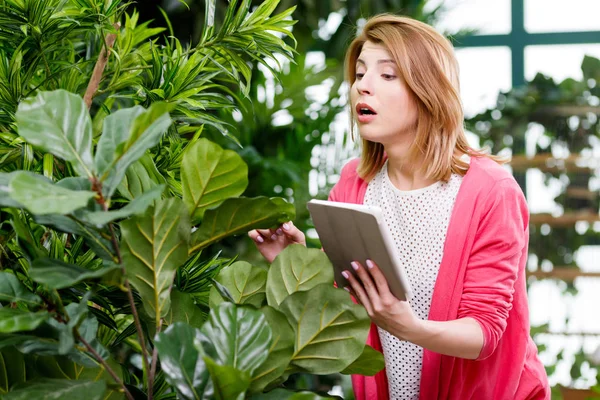 Florist with tablet around flowers — Stock Photo, Image