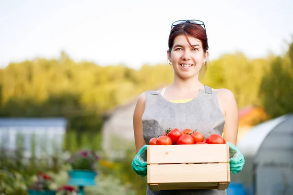 Meisje bedrijf doos met tomaten — Stockfoto