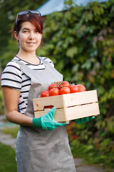 トマトの収穫との幸せな女 — ストック写真