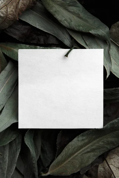 Hintergrund der trockenen grauen Blätter — Stockfoto