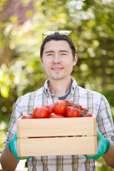 Portret van man met tomaat — Stockfoto