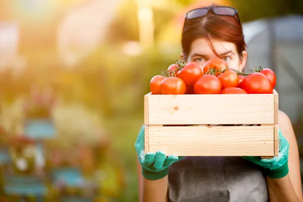 Imagen de mujer con tomates — Foto de Stock