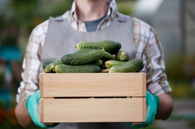 Adam ürün salatalık ile