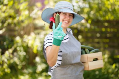 Ziraat Mühendisi şapkalı salatalık tutar