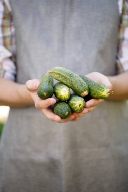 Adam holding salatalık avuç içi