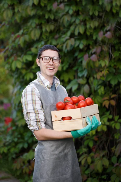 Foto van man met tomaten — Stockfoto