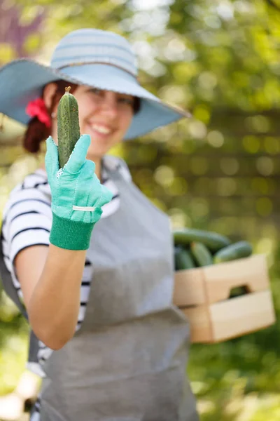 Mulher segura pepino na mão — Fotografia de Stock