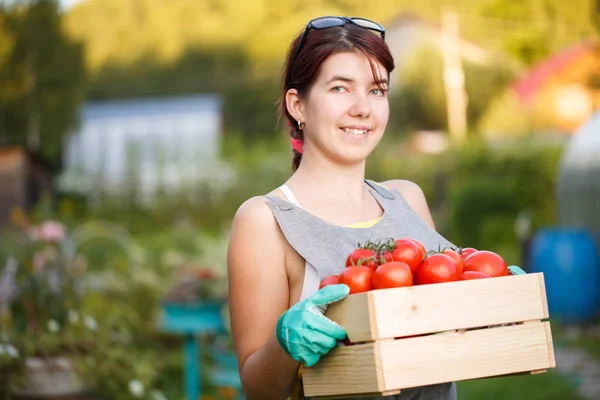 Foto van meisje met tomaten — Stockfoto