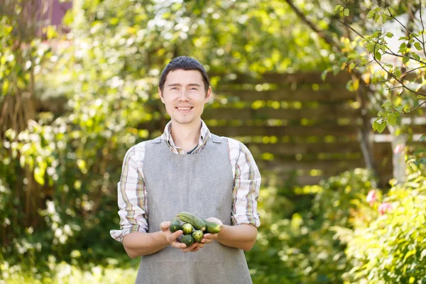 Guy bedrijf komkommers in palmen — Stockfoto