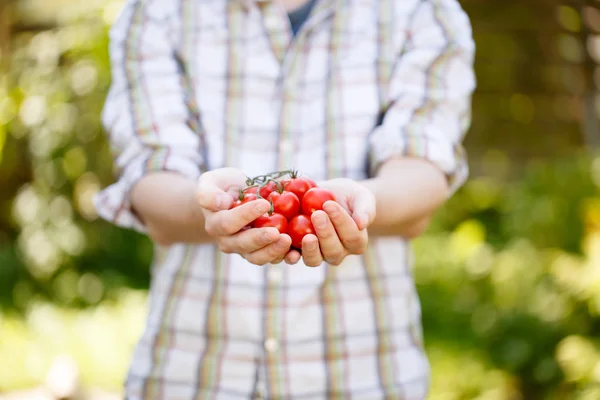 Chico joven con tomates cherry — Foto de Stock