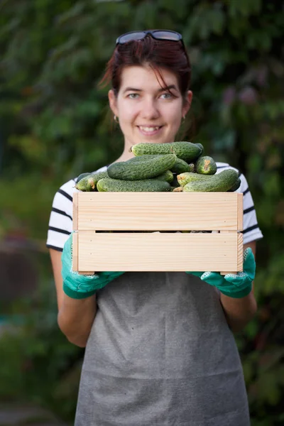 Jong meisje met komkommer gewas — Stockfoto