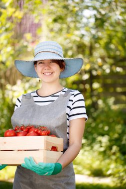 Esmer domates ile portresi