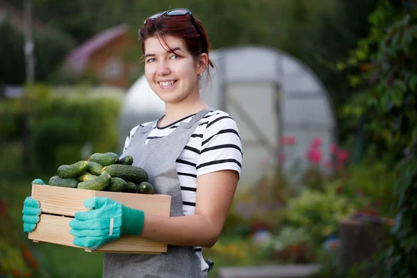 Salatalık ürün ile genç esmer
