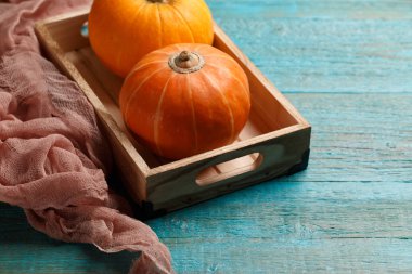 iki portakal pumpkins fotoğraf