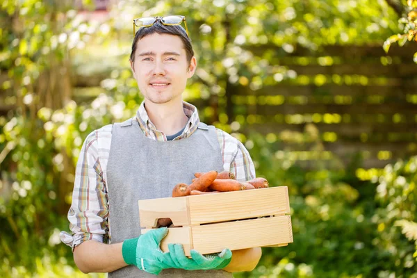 Man met handschoenen houden van wortelen — Stockfoto