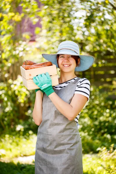 Agricultor en guantes con patatas — Foto de Stock