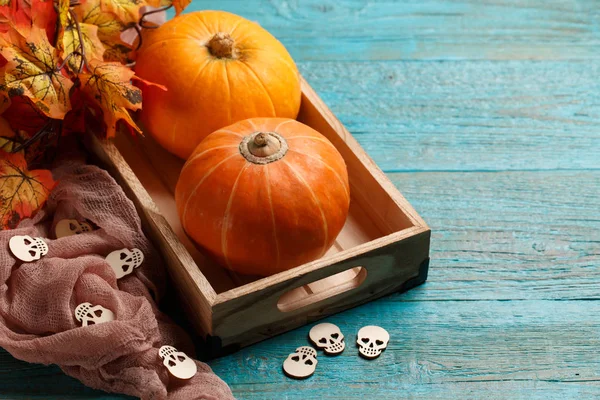 Citrouilles, tissu brun, feuilles d'érable — Photo