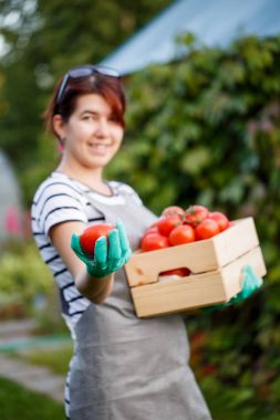 Esmer ürün domates ile