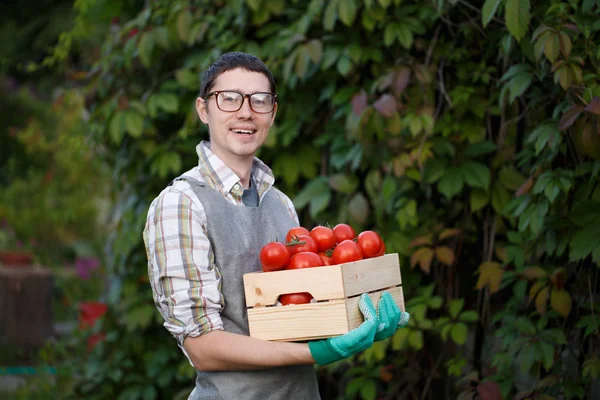 Man in glazen met tomaten op vak — Stockfoto