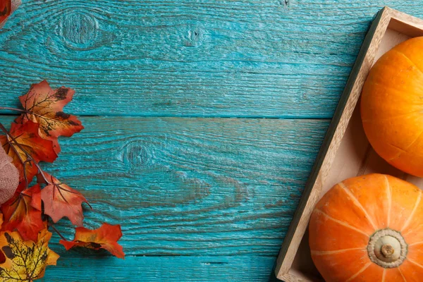 Kabak, akçaağaç ahşap tablo