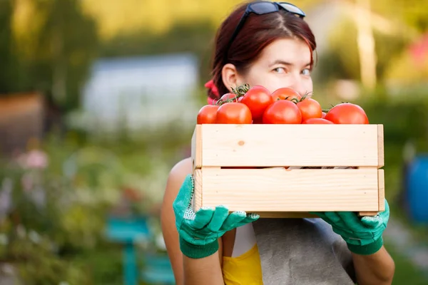 Foto de mujer con tomates — Foto de Stock