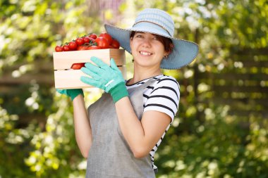 Esmer şapkalı domates ile