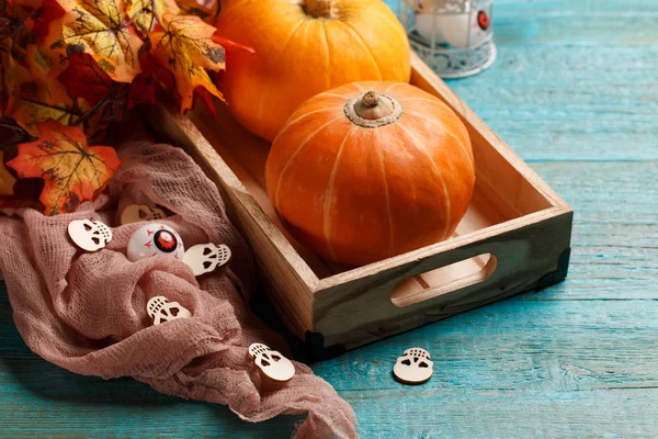 Zdjęcia z halloween pumpkin wakacje — Zdjęcie stockowe