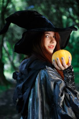 Cadı kabak el ile görüntü