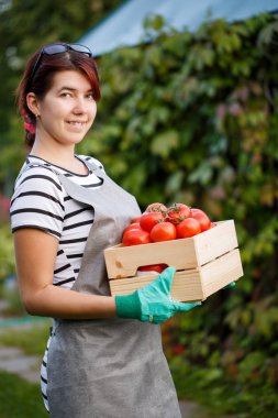 Esmer ürün domates ile