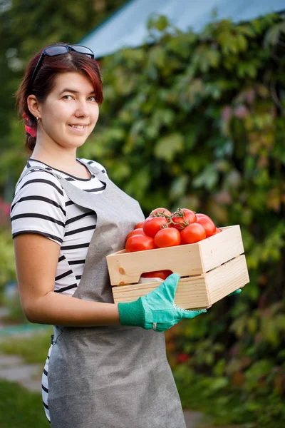 Esmer ürün domates ile