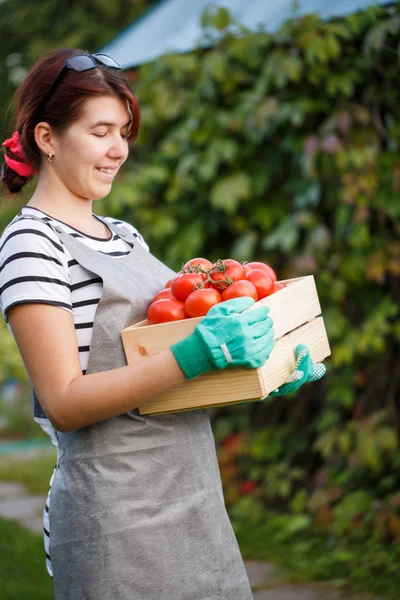 Gelukkig meisje met tomaten oogst — Stockfoto