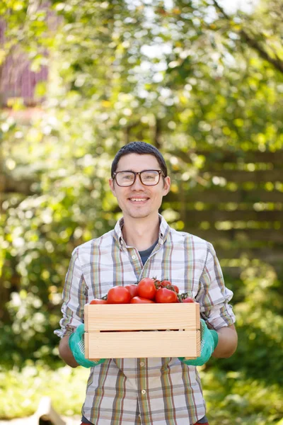 Foto van guy met tomaat — Stockfoto